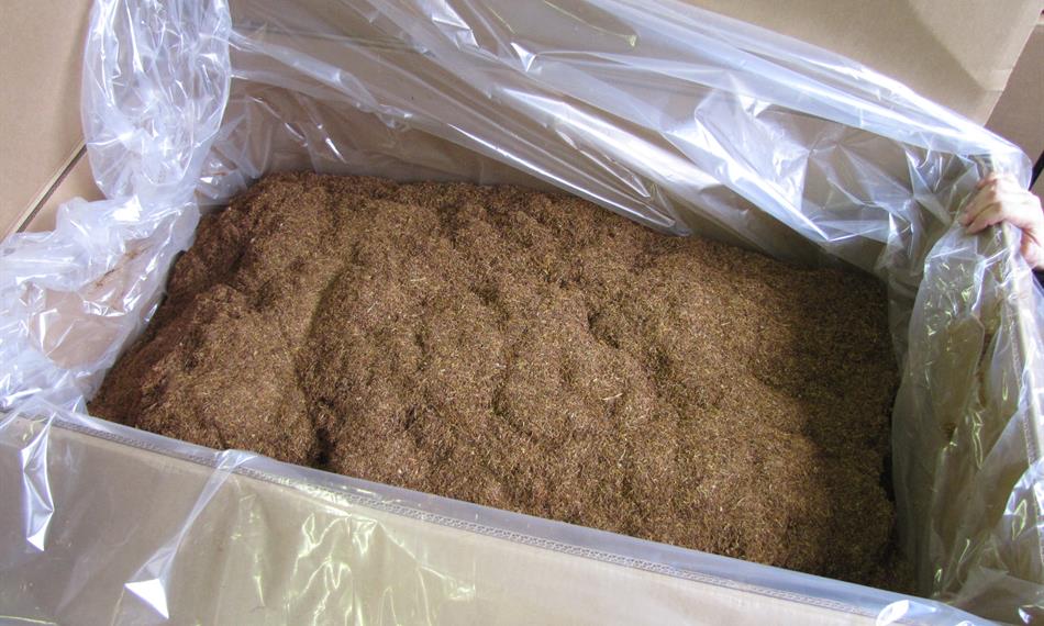 2012-3-6-1512tabák (15).jpg